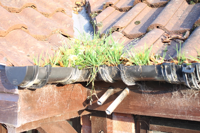  Profile Photos of All Seasons Gutter Cleaning 56 River Leys Swindon Village - Photo 2 of 5