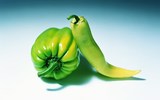 Veg & More, cape town