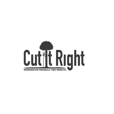  Profile Photos of Cut It Right Tree Service Street no. 11 - Photo 1 of 1