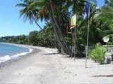 Wellbeach Dive Resort, Zamboanguita