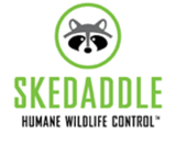 Skedaddle Humane Wildlife Control Oakville, Burlington