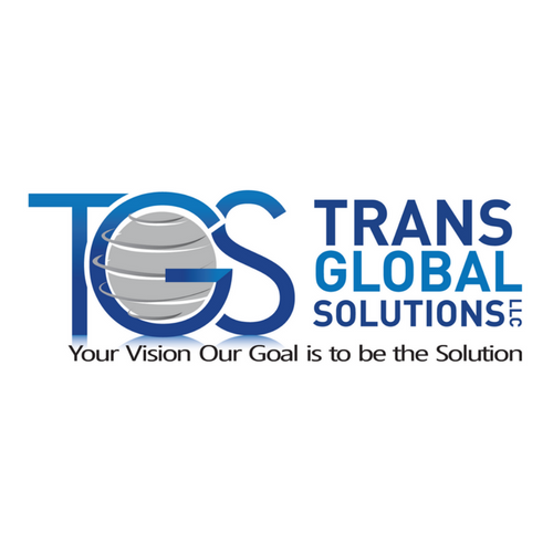  Profile Photos of Trans Global Solutions 19324 Otters Wick Way - Photo 4 of 11