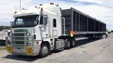 Forrest Logistics, Rocklea