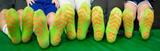 Rockin' Jump Trampoline Park Roseville, Roseville
