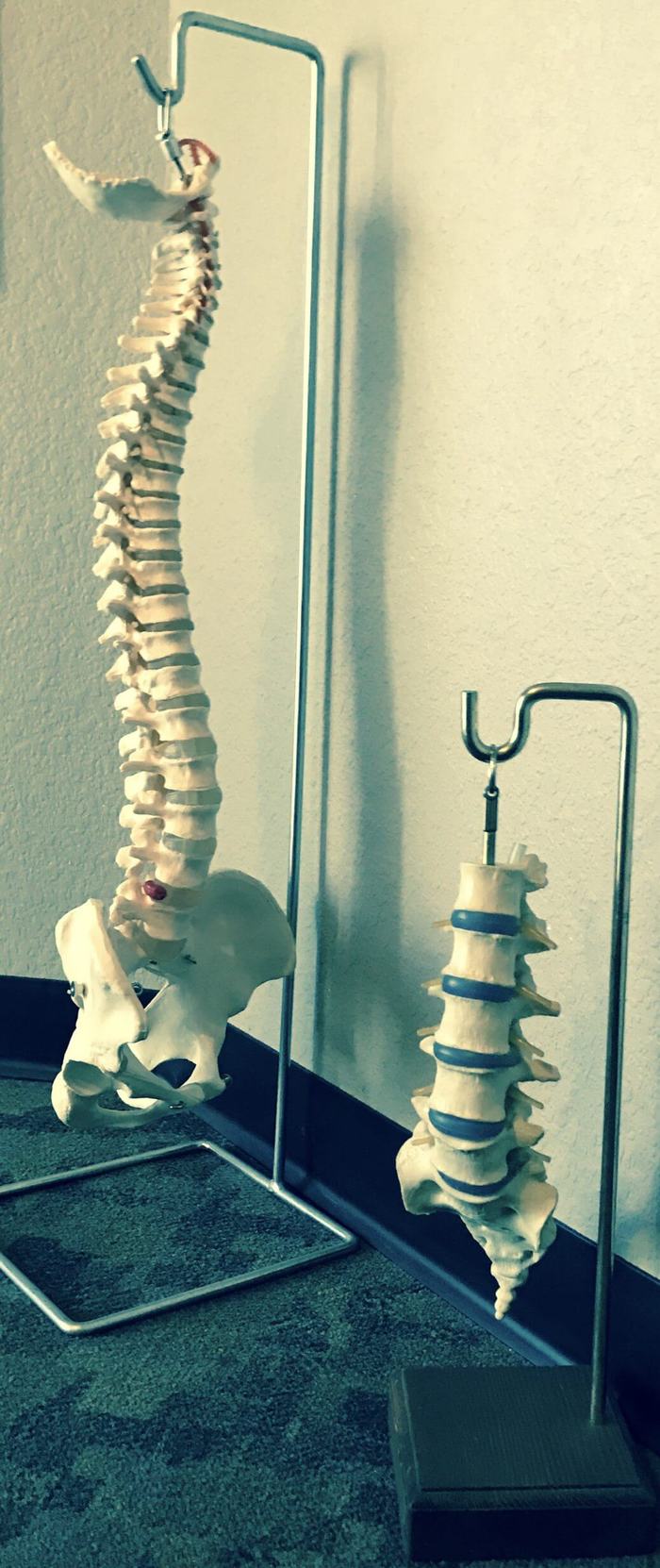  Profile Photos of Colorado Springs Spine & Injury Clinic Chiropractors, Massage, Physical Therapy 405 Windchime Pl - Photo 5 of 5