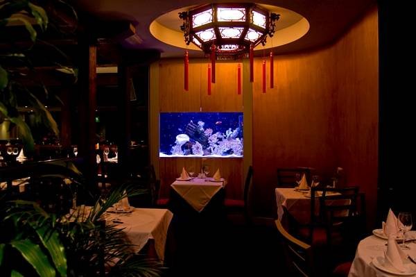  Profile Photos of Bayee Village Authentic Chinese Restaurant Wimbledon 24 High Street - Photo 18 of 31
