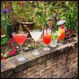 A Selection of Cocktails Dionysus Bars 36 Barker Avenue North 