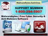 Malwarebytes | Free Cyber Security & Anti-Malware Software, Helotes