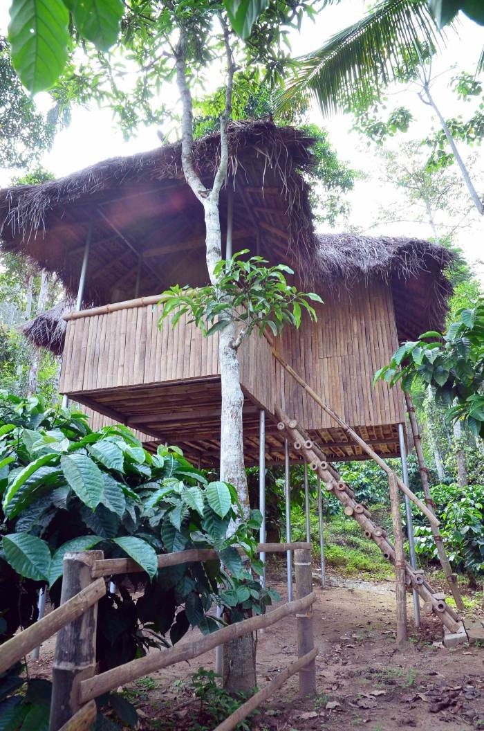  Profile Photos of wayanad jungle tree house near muthanga forest .best place to stay in wayand muthanga forest wayanad - Photo 8 of 10