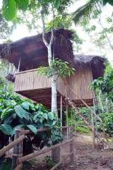 wayanad jungle tree house near muthanga forest .best place to stay in wayand, muthanga forest