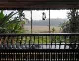 view from the ground house, wayanad jungle tree house near muthanga forest .best place to stay in wayand, muthanga forest