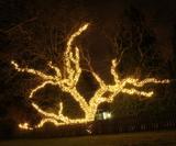 Light Right - Christmas Light Installations, Victoria