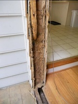 Pest Control Brisbane, Woolloongabba