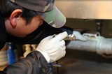 Pest Control Brisbane, Woolloongabba
