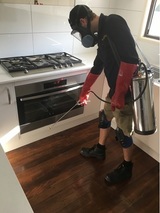 Pest Control Brisbane, Woolloongabba