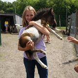 The Riding Stable LLC, Lakeville