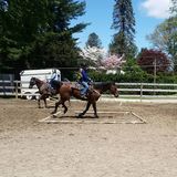 The Riding Stable LLC, Lakeville