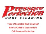 Pressure Perfection, Boca Raton
