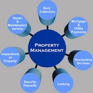  Profile Photos of Atlantis Property Management Group 3800 Wendell Dr. Ste 200 - Photo 1 of 1