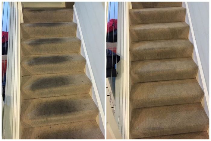  Profile Photos of Carpet Cleaning Brisbane Queen Street - Photo 2 of 14