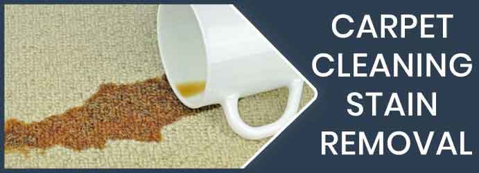  Profile Photos of Carpet Cleaning Brisbane Queen Street - Photo 8 of 14