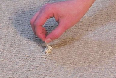  Profile Photos of Carpet Cleaning Brisbane Queen Street - Photo 9 of 14