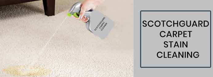  Profile Photos of Carpet Cleaning Brisbane Queen Street - Photo 12 of 14