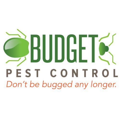  Profile Photos of Budget Pest Control, Inc. 548 East 61st Street - Photo 12 of 12