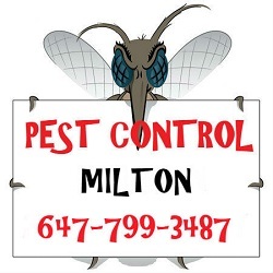  Profile Photos of GTA Toronto Pest Control â€“ Milton 1207 Leger Way - Photo 3 of 4