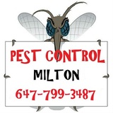  GTA Toronto Pest Control â€“ Milton 1207 Leger Way 