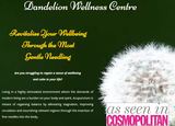 Dandelion Wellness Centre, London