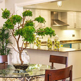 Architectural Home Builders - Trusted Home Builder in Melbourne, Glen Iris