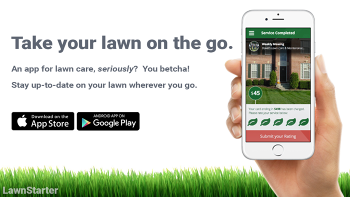  New Album of LawnStarter Lawn Care Service 52 E Lane Ave - Photo 4 of 4