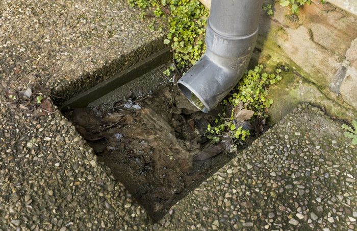  Profile Photos of Blocked Drain Bristol 18 Newlyn Avenue - Photo 1 of 1