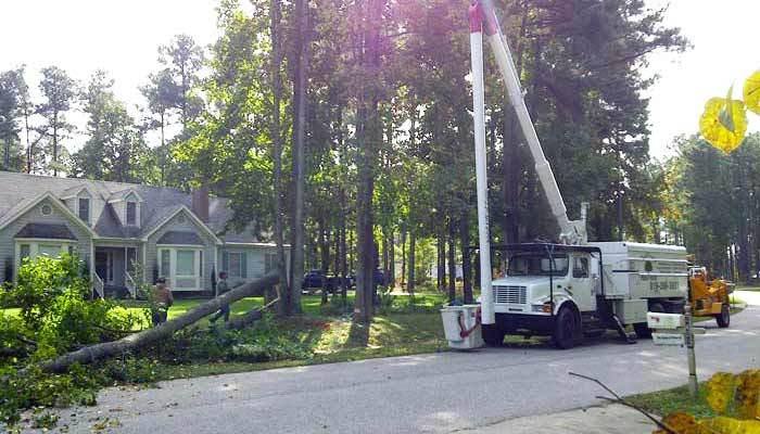  New Album of Green Bay Tree Service 1400 Sterling Heights Court #10 - Photo 2 of 5