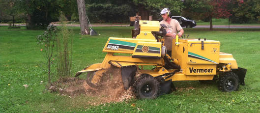  New Album of Green Bay Tree Service 1400 Sterling Heights Court #10 - Photo 3 of 5