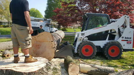  New Album of Green Bay Tree Service 1400 Sterling Heights Court #10 - Photo 4 of 5