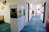  Dental Place Hopkinton 79 Hayden Rowe Street 