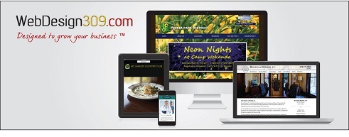  New Album of WebDesign309.com 1320 Tower Rd, Suite 169 - Photo 1 of 5