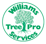 Williams Tree Pro, Perth