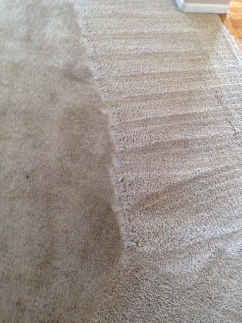  Profile Photos of Fusion Cleaning 15284 Elizabeth Circle E - Photo 1 of 5