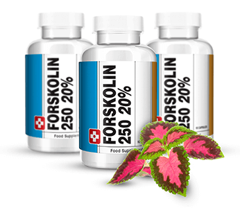 Profile Photos of Forskolin 4287 Broadcast Drive - Photo 1 of 1