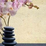  Summit Therapeutic & Sports Massage #6 145 19TH ST 