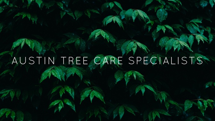  Profile Photos of Hamlin Tree Care, Inc 7919 Thomas Springs Rd #C - Photo 1 of 2