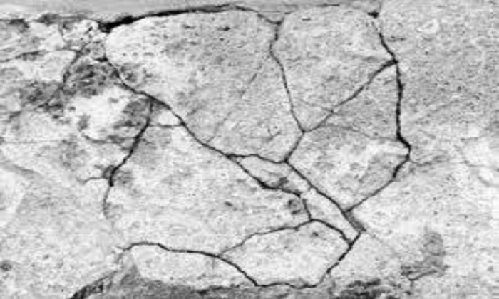  Profile Photos of Lonestar Driveways and Foundation Repair Serving around - Photo 1 of 1