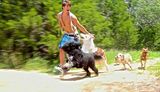  Walk! ATX Pet Care 5004 Emerald Forest Cir 