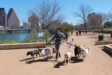  Walk! ATX Pet Care 5004 Emerald Forest Cir 