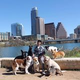  Walk! ATX Pet Care 5004 Emerald Forest Cir 