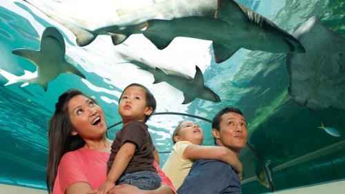  New Album of SEA LIFE Arizona 5000 Arizona Mills Cir, Ste 145 - Photo 1 of 3