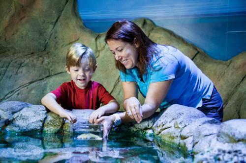  New Album of SEA LIFE Arizona 5000 Arizona Mills Cir, Ste 145 - Photo 3 of 3